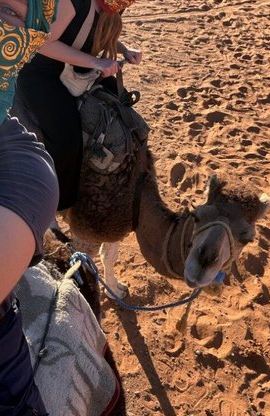 3D2N • 3 days 2 nights Desert Trip from Errachidia Airport /Hotel
