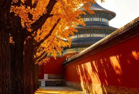 3D2N · Group Tours · Small group·optional high-rated international brand Hilton Garden Inn on the Second Ring 3 meals included pick-up drop-off available within the Fifth Ring Road · Complimentary visit to Tiananmen Rostrum or a museum. Ahead of time to reserve the Hilton Garden Inn near the 2nd Ring Road. Professional commentary by star tour guide