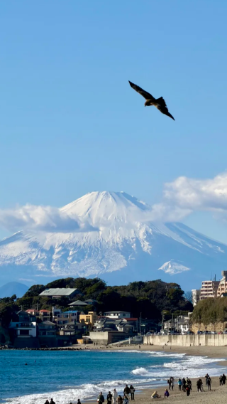 10D9N • Tokyo, Mt. Fuji, Osaka & Kyoto Small Group Tour | No Shopping, Free JR Shinkansen, 2D Tokyo & 3D Osaka Free Time