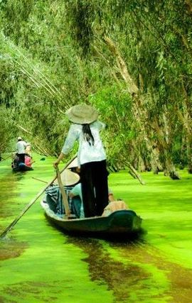 3D2N • Incredible Mekong Delta Tour 3-day from Ho Chi Minh City