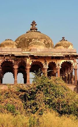 3D2N • Two Night Safari Experience Ranthambore National Park &Transfers