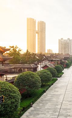 6 วัน 5 คืน • 2UTFU-TG001 เฉิงตู สี่ดรุณี หวงหลง จิ่วจ้ายโกว 6วัน 5คืน โดยสายการบิน Thai Airways (TG)