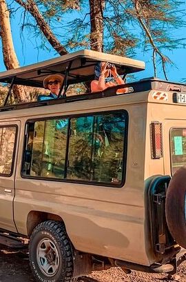 4D3N • 4-Day Tarangire Serengeti, Ngorongoro & Maasai Guided tour