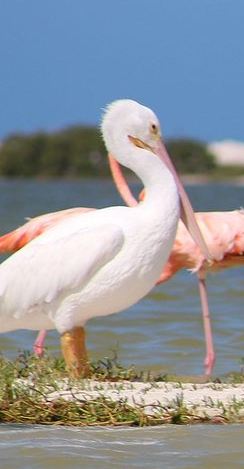 4D3N • Private Yucatan Discovery Tour