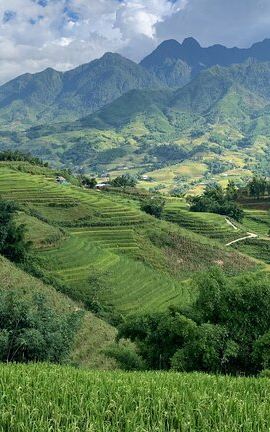 2D1N • Sapa Trekking Tour 2 Days 1 Night By Bus
