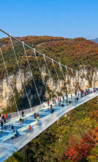 4D3N • Zhangjiajie In Depth Tour · 2 Full Days in the Forest Park with Avatar Mountains · Tianmen Mountain & Grand Canyon · Up to 6 Guests, English Guide, Luxury Van, 5 Diamond Hotels & Free Drone Video