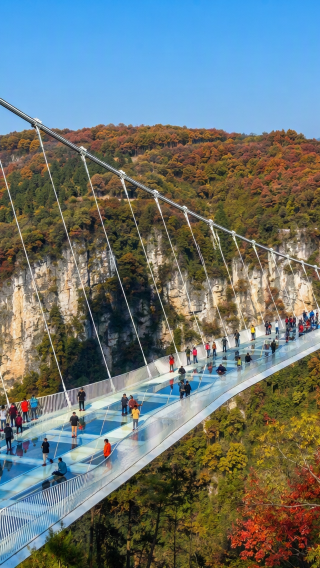 8D7N • Changsha + Zhangjiajie + Fenghuang County + Furong Town