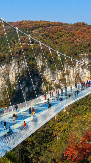 4D3N • Zhangjiajie In Depth Tour · 2 Full Days in the Forest Park with Avatar Mountains · Tianmen Mountain & Grand Canyon · Up to 8 Guests, English Guide, Luxury Van, 5 Diamond Hotels & Free Drone Video