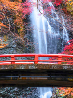 6 วัน 4 คืน • KYOTO OSAKA TOKYO LOVE AUTUMN โดยสายการบินไทย [TG]