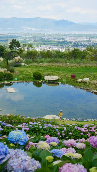 8D7N • Winter Yunnan: Kunming + Dali + Lijiang + Shangri-La + Yulong Snow Mountain: Snow Peaks & Dancing Seagulls