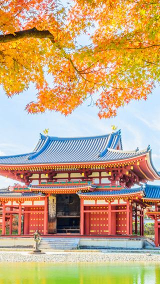 6天5晚 • 日本大阪＋京都＋神戶＋奈良＋宇治深度遊 萌鹿餵食體驗＋源氏物語文化巡禮＋貓站長互動＋雙溫泉體驗＋欣賞百萬夜景
