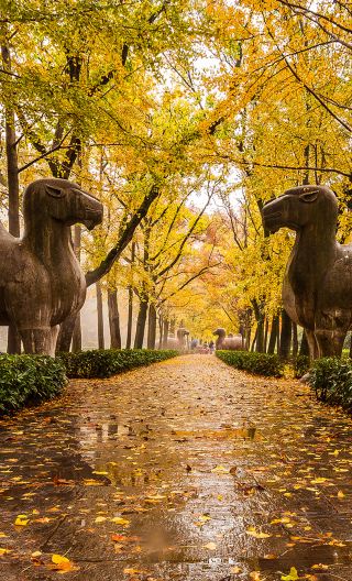 8D7N • Click to customize your itinerary, Cozy Jiangnan itinerary: Suzhou + Wuzhen + Hangzhou + Wuxi + Nanjing