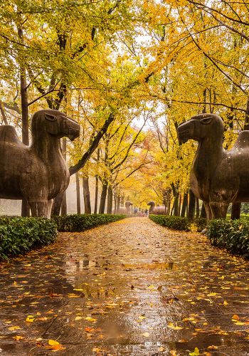 8D7N • Click to customize your itinerary, Cozy Jiangnan itinerary: Suzhou + Wuzhen + Hangzhou + Wuxi + Nanjing