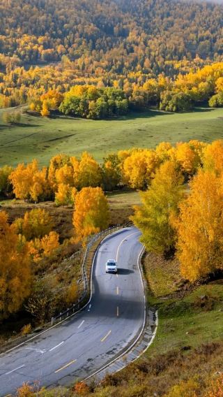 8D7N • Wonderland of Northern Xinjiang: Altay Forests & Sayram Blue Lake