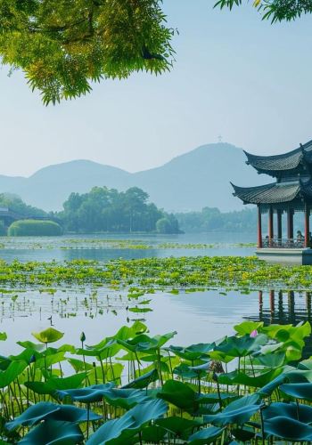 5日4晚 • 城隍廟·豫園·外灘·烏鎮西栅·西湖·雷峰塔·杭州宋城