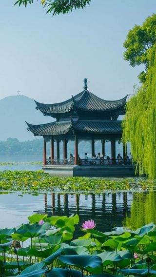 6D5N • Hangzhou + Wuzhen + Suzhou + Shanghai 6-day 5-night