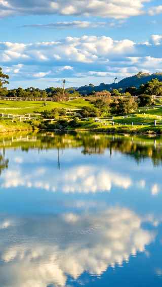5D4N • Australia-Cairns: discover Daintree Rainforest, Atherton Tablelands and native Australian wildlife