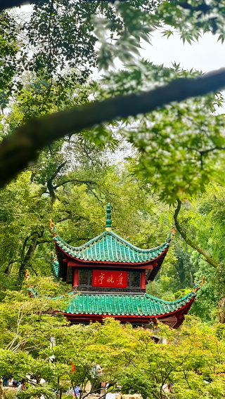 2天1晚 • 長沙人文經典景點｜橘子洲＋嶽麓書院＋湖南省博物館：尊享 1 晚五鑽飯店住宿＆贈送茶顏悅色