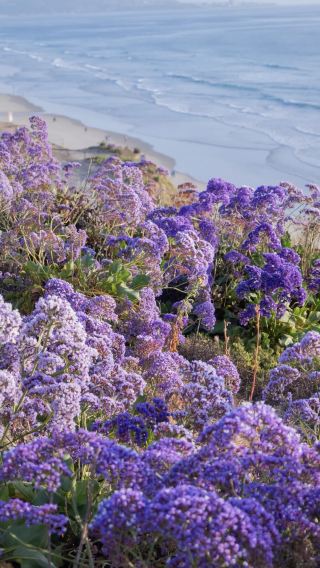 13D12N • Coastal Scenery & Grand Canyon Wonder · Los Angeles + San Francisco + Las Vegas + California Highway 1