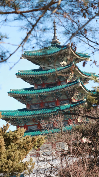 6D5N • Seoul's Classic Gyeongbokgung Palace Route·Experience the Charm of Historical Culture, Hotel Pickup in City Center