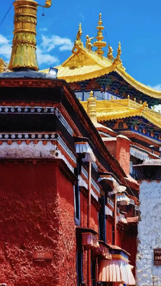 11D10N • Chengdu + Lhasa + Nyingchi + Mt Qomolangma Base Camp + Potala Palace + Yamdrok Yumtso