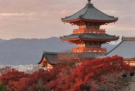 6-day 5-night · Group Tours · Japan + Osaka + Kyoto + Nara · Small-group tour with limited-time free airport and hotel shuttles, 4-diamond accommodation, Gion's Geisha culture, Fushimi Inari torii gates, San'in area attractions, Guichuan Shrine, Arashiyama train ride, Conan-themed Moon Bridge, plus 2 days of free time.
