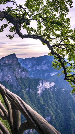 7D6N • Changsha, Zhangjiajie Forest Park, Grand Canyon & Fenghuang Ancient City Museum with Free Cableway, Elevator, Miao Costume & River Cruise