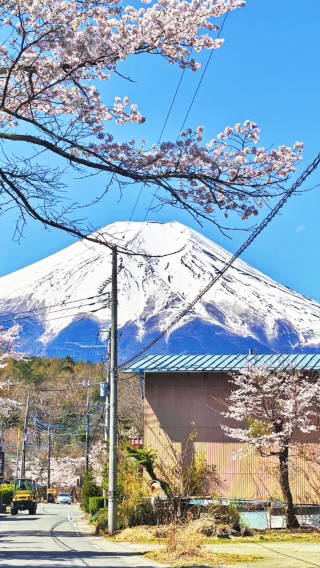 3日2晚 • 日本河口湖＋富士山＋伊豆市
