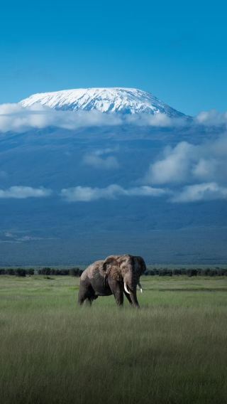 7D6N • Maasai Mara National Reserve + Lake Nakuru National Park + Lake Naivasha + Hells Gate National Park + Amboseli