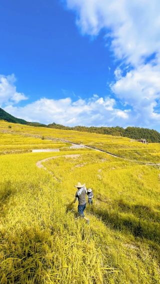 3D2N • Shaoguan + Yingde + Yingxi Fenglin Corridor       