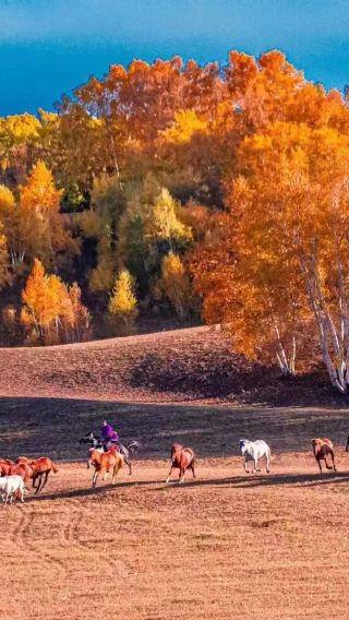 5D4N • Qinhuangdao + Chengde + Ulan Butung Grasslands + Mulan Paddock