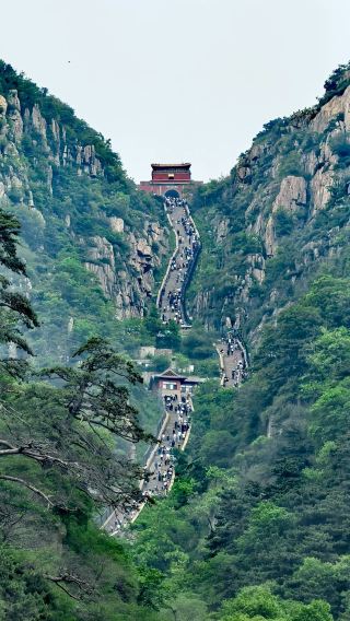 4日3晚 • 濟南＋泰山風景區＋曲阜