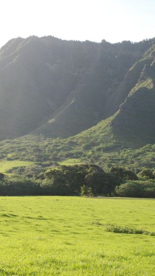 8D • Hawaii