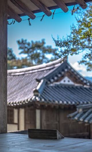 5D4N • 5-Day Korea Golden route by K-shuttle Tour from Seoul Including Busan, Yeosu