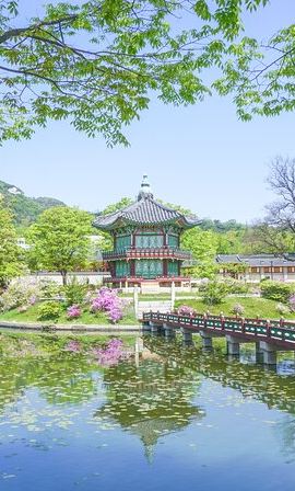 12D11N • 12-Day South Korea Group Tour in Spanish