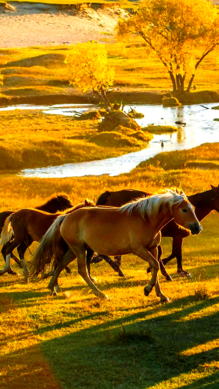 12D11N • From Volcanoes to the Arctic Circle in China · Inner Mongolia · Mohe · Ulanhada Volcano · Xiangshawan · Hulunbuir Grassland · Mohe Arctic Village
