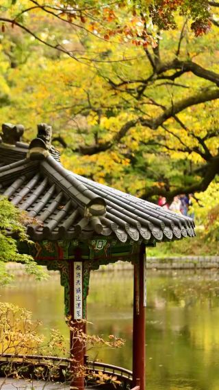 3D2N • A Great Travel Destination: South Korea + Seoul + Garosu-gil Street