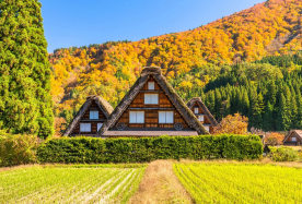 3D2N · Private Tours · Japan + Nagoya : Nagoya - Takayama - Shirakawa-go - Nagoya · Private full-day car charter by 7-seat Alphard-HiAce van -Nagoya. One-day Tour Excluding Admission Fees and Accommodation