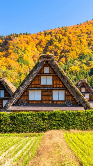 3D2N • Japan + Nagoya : Nagoya - Takayama - Shirakawa-go - Nagoya