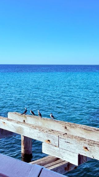 6D5N • Australia Perth + Hutt Lagoon + Margaret River + Wave Rock + Rottnest Island | Early Bird Summer Booking Discount - Includes Drone Photography
