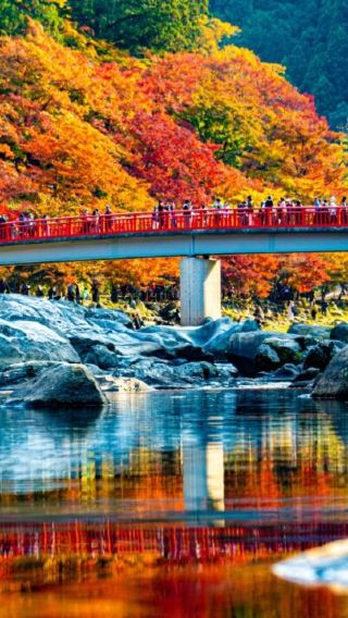 12D11N • Honshu Autumn  foliages Tour: Tokyo Japanese garden + Mt. Fuji & Kawaguchiko Lake + Nagoya Kagami River + Kyoto Ancient Temple Autumn Night Illumination + Osaka Autumn Leaves with Historic Castle 