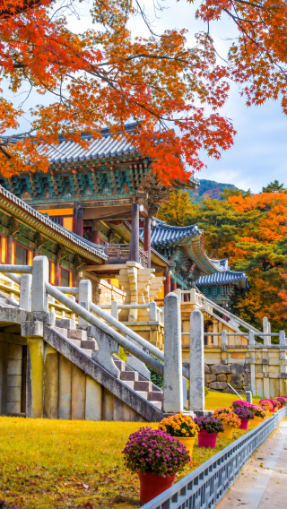 5天4晚 • 釜山·慶州·浦項五日｜佛國寺·海雲台海邊列車·SPACE WALK環湖公園·虎尾岬共生之手·南浦洞｜無購物站