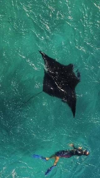 7D6N • Maldives: Swim with the Giants Multi-Day Island-Hopping