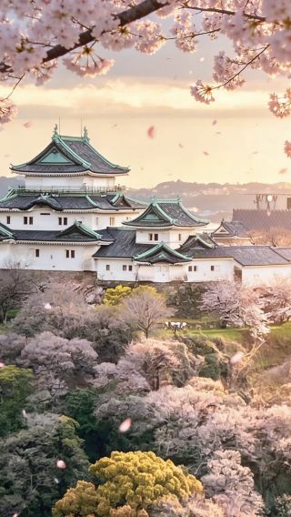 6D5N • Japan + Osaka + Wakayama City + Kobe + Nara City + Kyoto