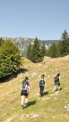 8D7N • Village life in Transylvanian Carpathian mountains - 8 days