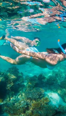 6D5N • 6-Day Coral Coaster from Perth to Exmouth One-Way via Monkey Mia Ningaloo Reef