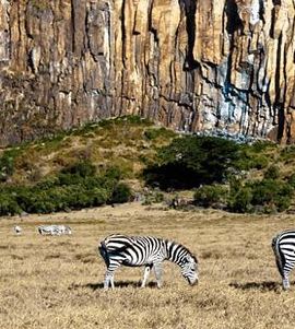 2D1N • 1 night small group tour to Hells gate and Mount Longonot