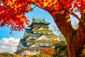 7D6N · Private Tours · Japan private tour - Osaka + Kyoto + Nara + Mie four-city itinerary: Kiyomizu-dera, Kinkaku-ji, Arashiyama Togetsukyo Bridge, Byodo-in Phoenix Hall · Japan private tour - Osaka + Kyoto + Nara + Mie four-city itinerary: Kiyomizu-dera, Kinkaku-ji, Arashiyama Togetsukyo Bridge, Byodo-in Phoenix Hall