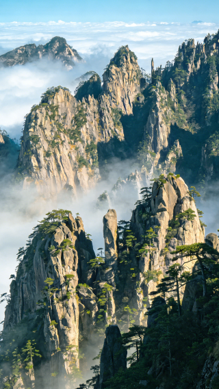 4D3N • Explore World Cultural Heritage Huangshan & Hongcun. 1 night on mountain for sunrise, tickets, cable cars & shuttle buses covered.