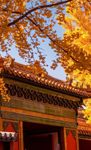 5D4N • Beijing + The Palace Museum + Mutianyu Great Wall + Tiananmen Square + Summer Palace: Autumn sightseeing tour